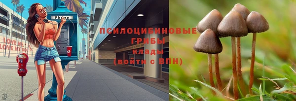 прущие грибы Абдулино