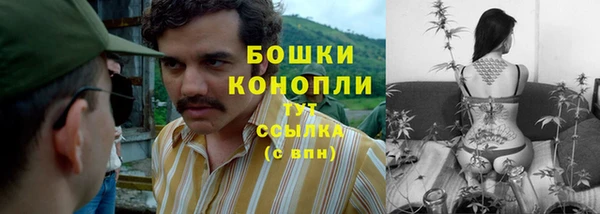 ГАЛЛЮЦИНОГЕННЫЕ ГРИБЫ Абаза