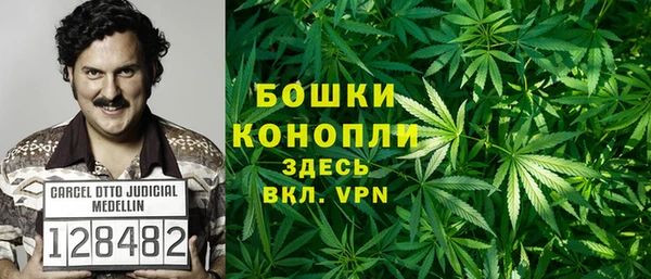 шишки Абинск