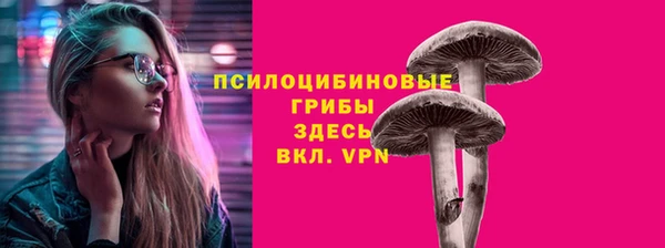 шишки Абинск