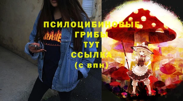 шишки Абинск
