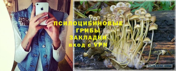 ГАЛЛЮЦИНОГЕННЫЕ ГРИБЫ Абаза