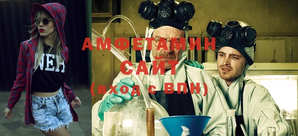шишки Абинск