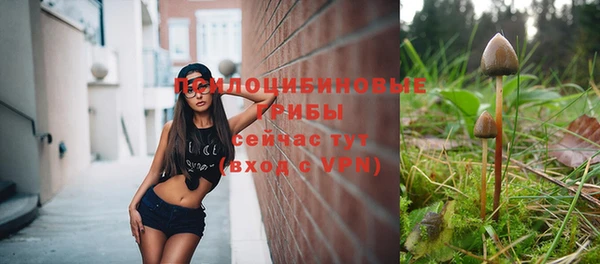 шишки Абинск
