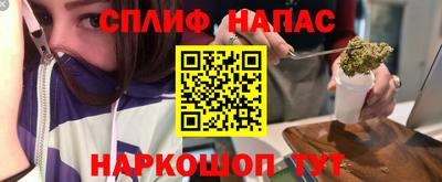 МДПВ Пушкино