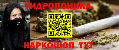 МДПВ Пушкино