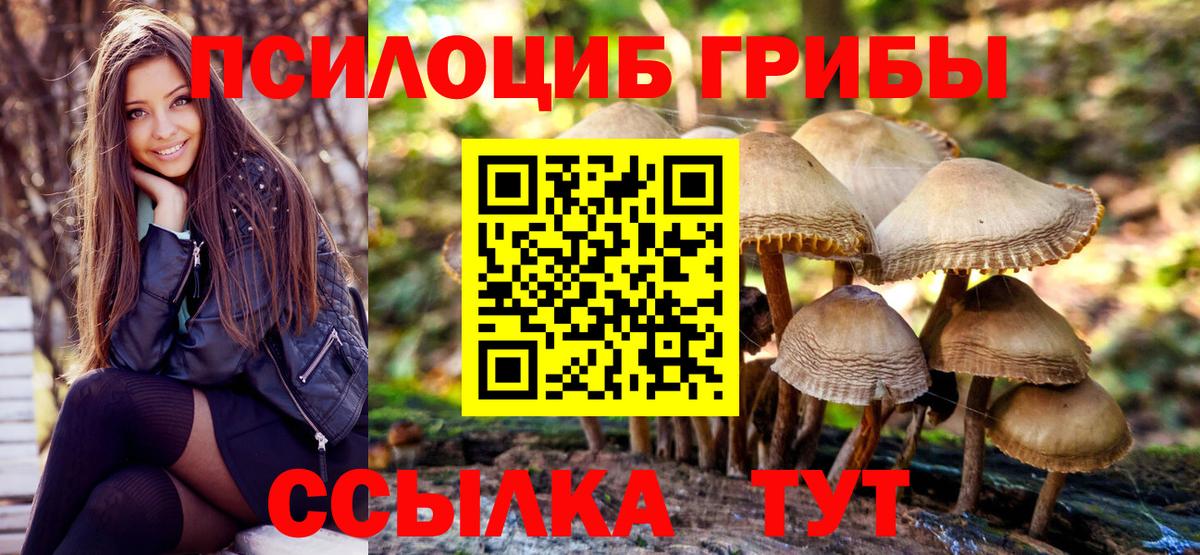 Псилоцибиновые грибы Magic Shrooms  Вход с VPN  Усть-Кут 