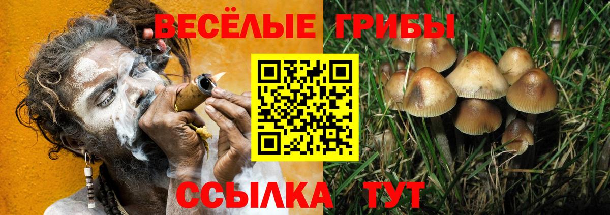 Галлюциногенные грибы MAGIC MUSHROOMS Усть-Кут