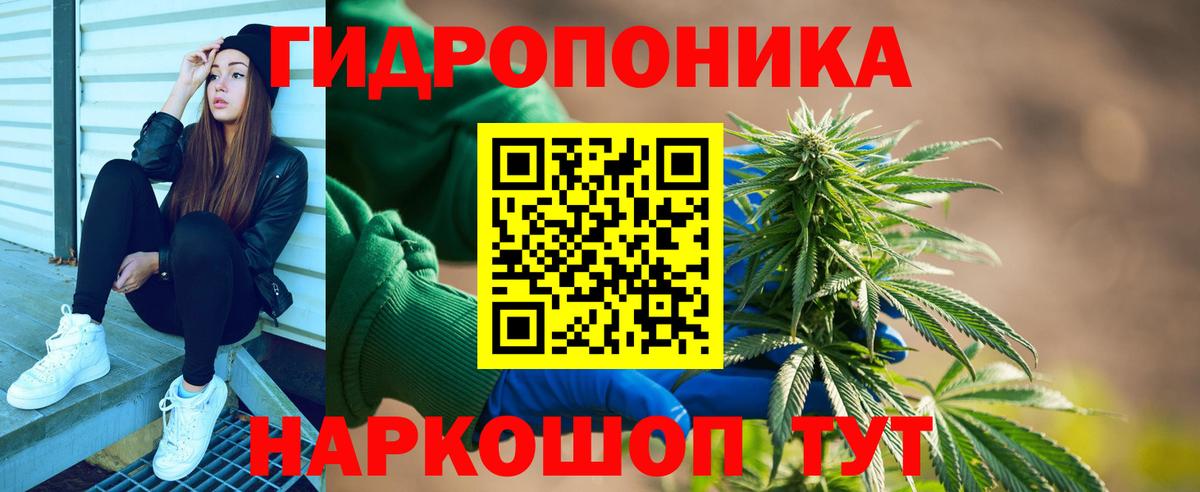 Усть-Кут  Марихуана план  Бошки Шишки сатива  Шишки марихуана конопля  Бошки марихуана сатива  Вход с VPN 